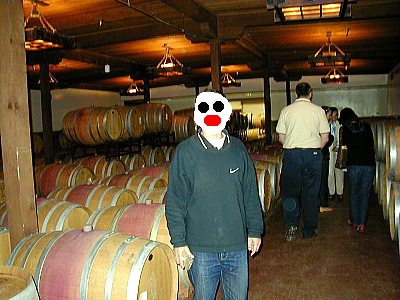 ゲイニービンヤードのワイン樽倉庫