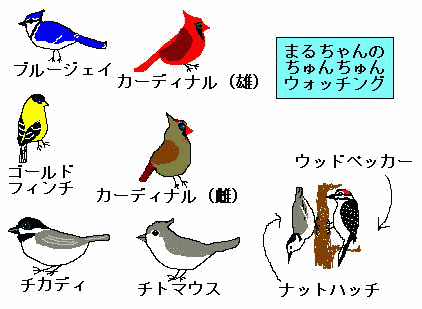 ܂邿삿񂿂̊G