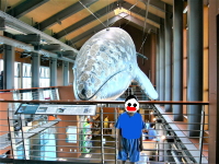 海上水族館