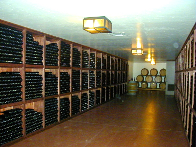 KV[bIȂĂˁBiGainey Vinyardj