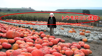 hj[Et@[Y