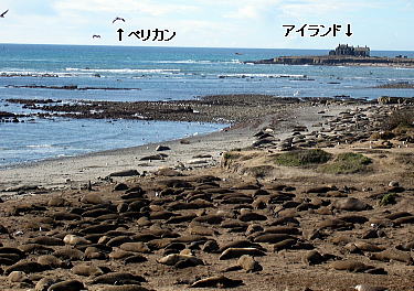 䂩̒