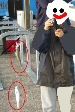 ２匹釣れた