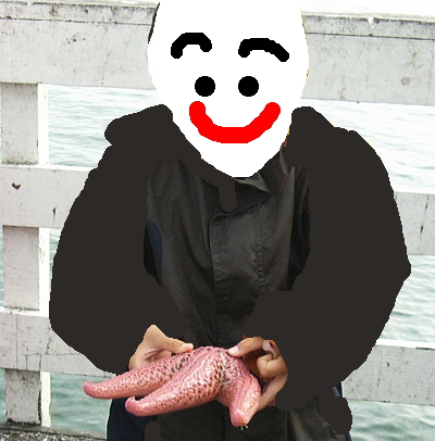 ヒトデが釣れた