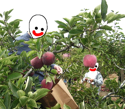 MYfBb`E`ŃS