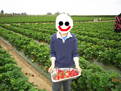 U-Pick at Gizdich Ranch