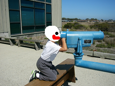 يO̖]
