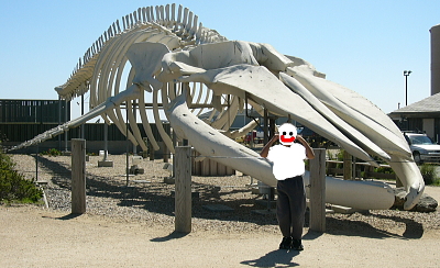 ViKXNW̍iW{Ƃ܂
