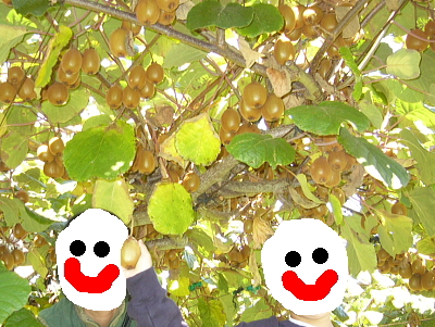 LEĈĂƂ