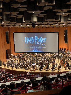 ハリーポッター・デスリーホロー・コンサート