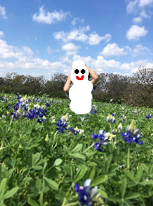 娘のみ
