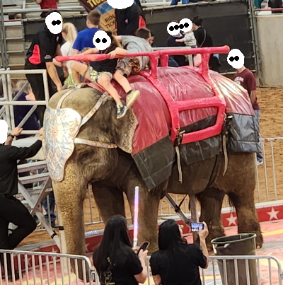 ゾウさん