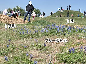 ちょびーっとだけよ