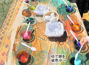 もう捨てちゃった・・・。