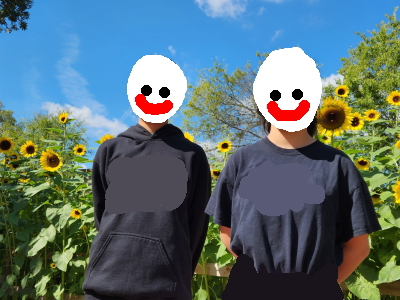 ひまわり畑