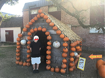 カボチャ小屋