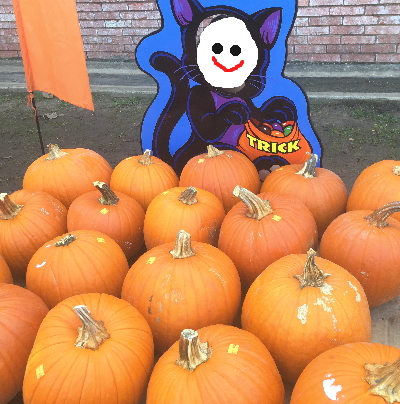 顔出し看板
