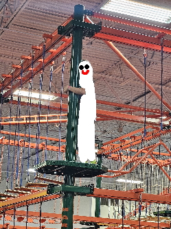コズミック・エアー